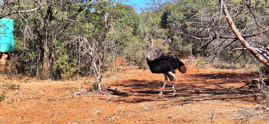 3 Bedroom Property for Sale in Rustenburg Rural North West